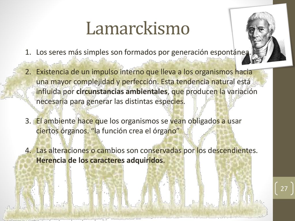 Lamarckismo Los seres más simples son formados por generación espontánea.