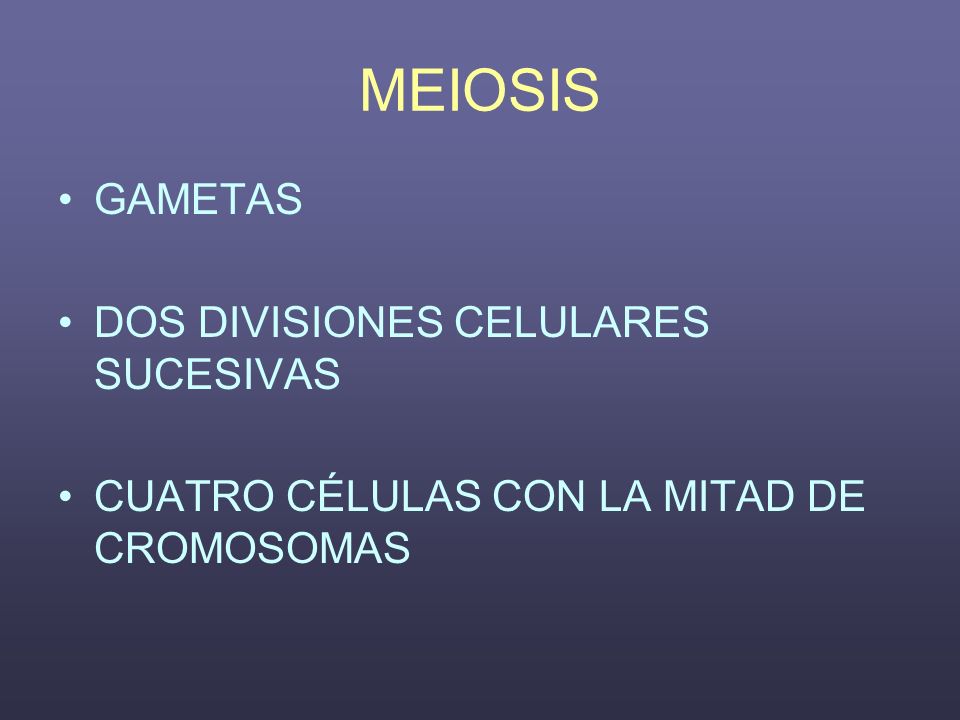 MEIOSIS GAMETAS DOS DIVISIONES CELULARES SUCESIVAS