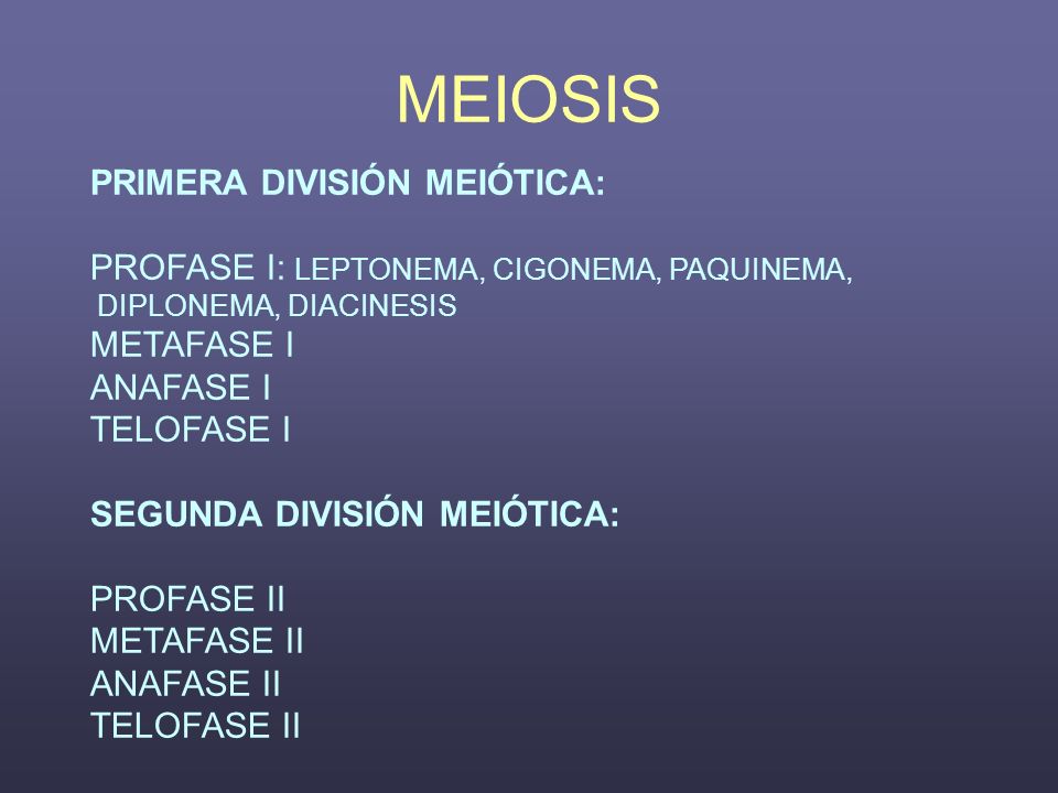 MEIOSIS PRIMERA DIVISIÓN MEIÓTICA: