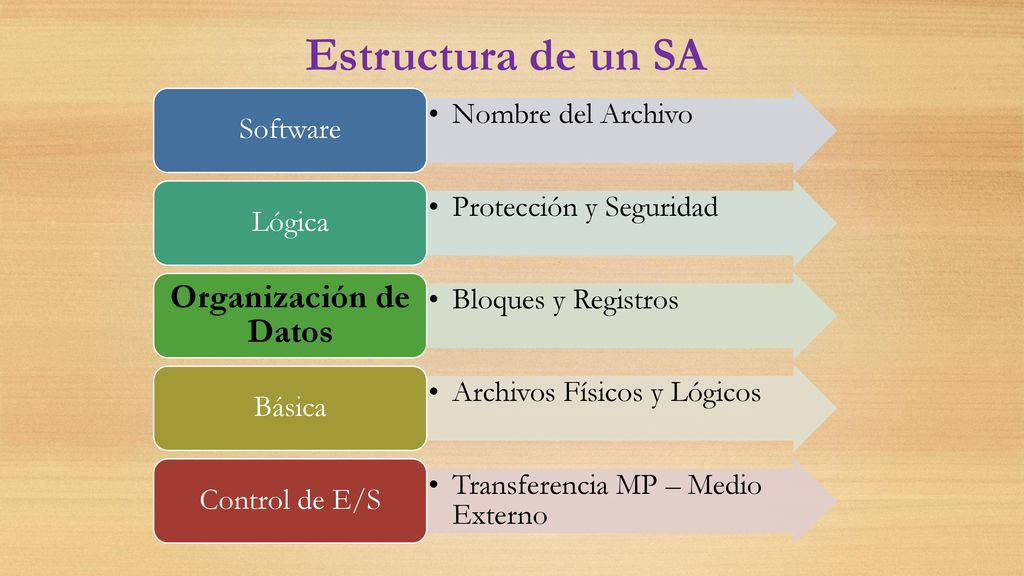 Estructura de un SA Organización de Datos Nombre del Archivo Software