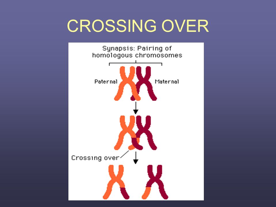 CROSSING OVER