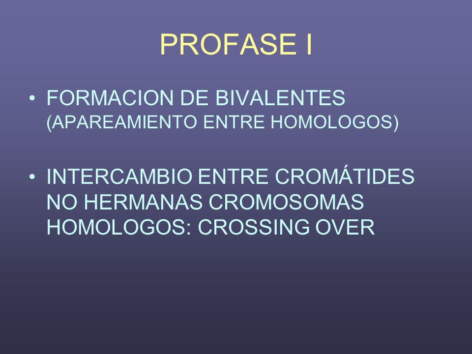 PROFASE I FORMACION DE BIVALENTES (APAREAMIENTO ENTRE HOMOLOGOS)