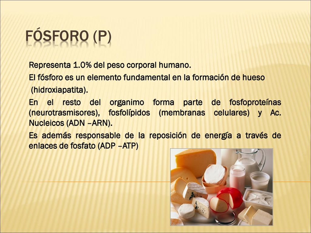 FÓSFORO (P) Representa 1.0% del peso corporal humano.