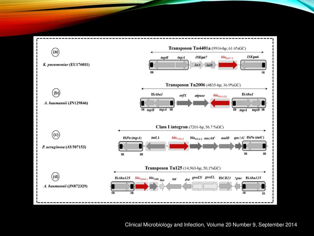 Clinical Microbiology and Infection, Volume 20 Number 9, September 2014