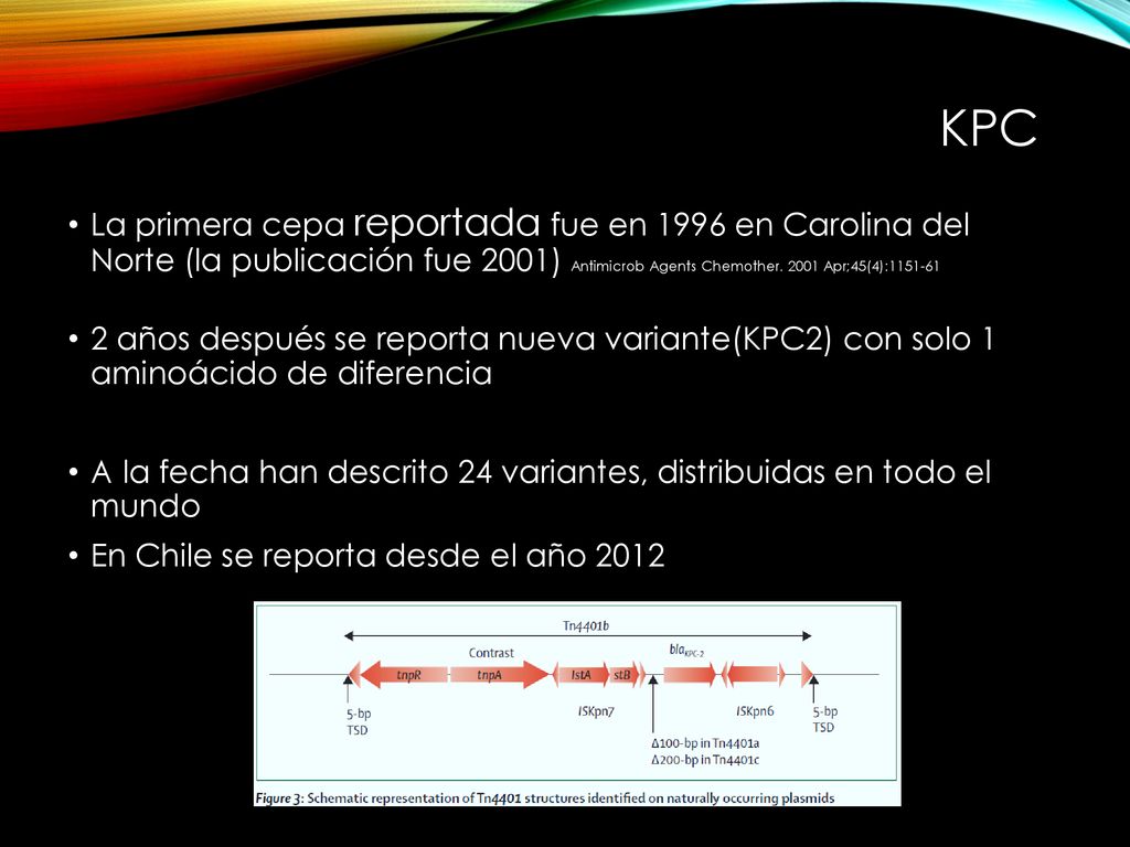KPC La primera cepa reportada fue en 1996 en Carolina del Norte (la publicación fue 2001) Antimicrob Agents Chemother Apr;45(4):