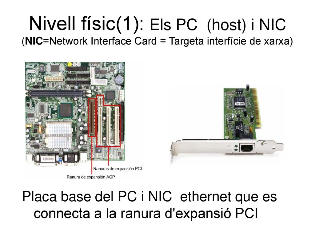 Nivell físic(1): Els PC (host) i NIC (NIC=Network Interface Card = Targeta interfície de xarxa)