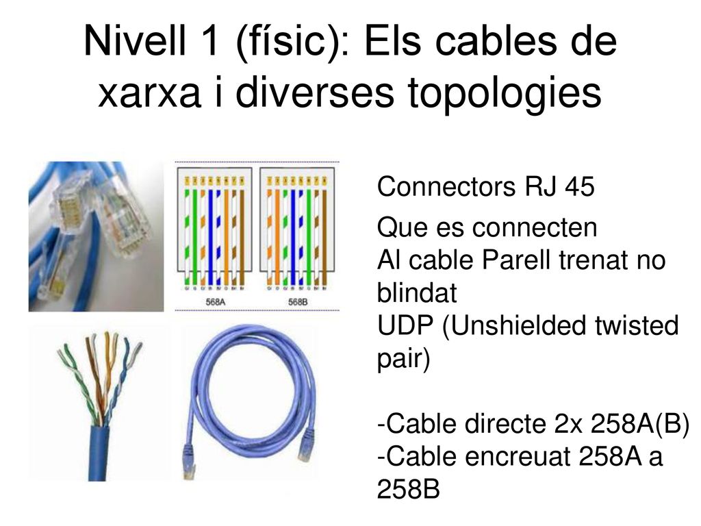 Nivell 1 (físic): Els cables de xarxa i diverses topologies