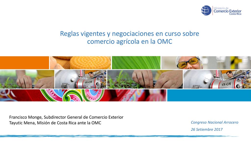 Reglas vigentes y negociaciones en curso sobre comercio agrícola en la OMC