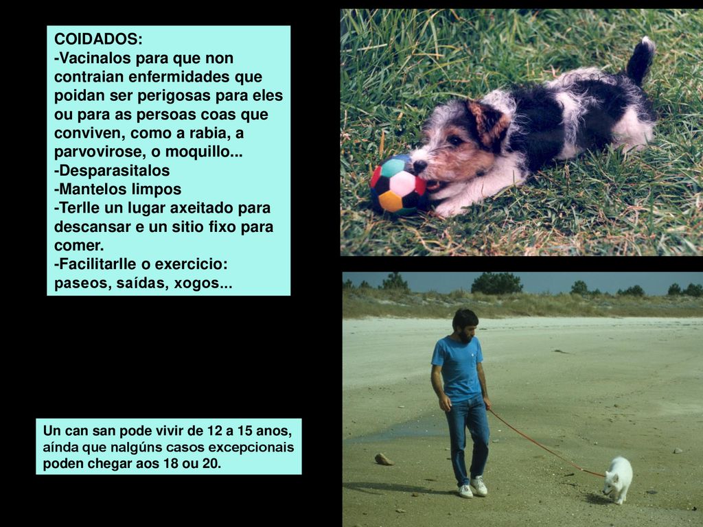 -Terlle un lugar axeitado para descansar e un sitio fixo para comer.