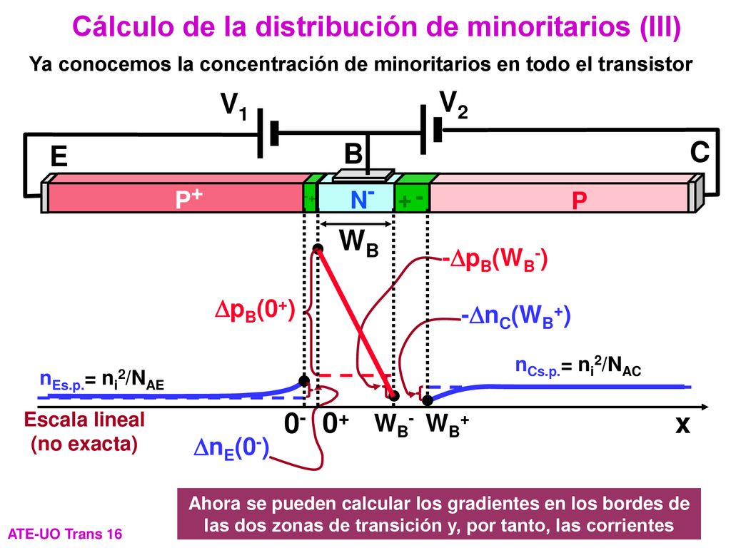 Ya conocemos la concentración de minoritarios en todo el transistor