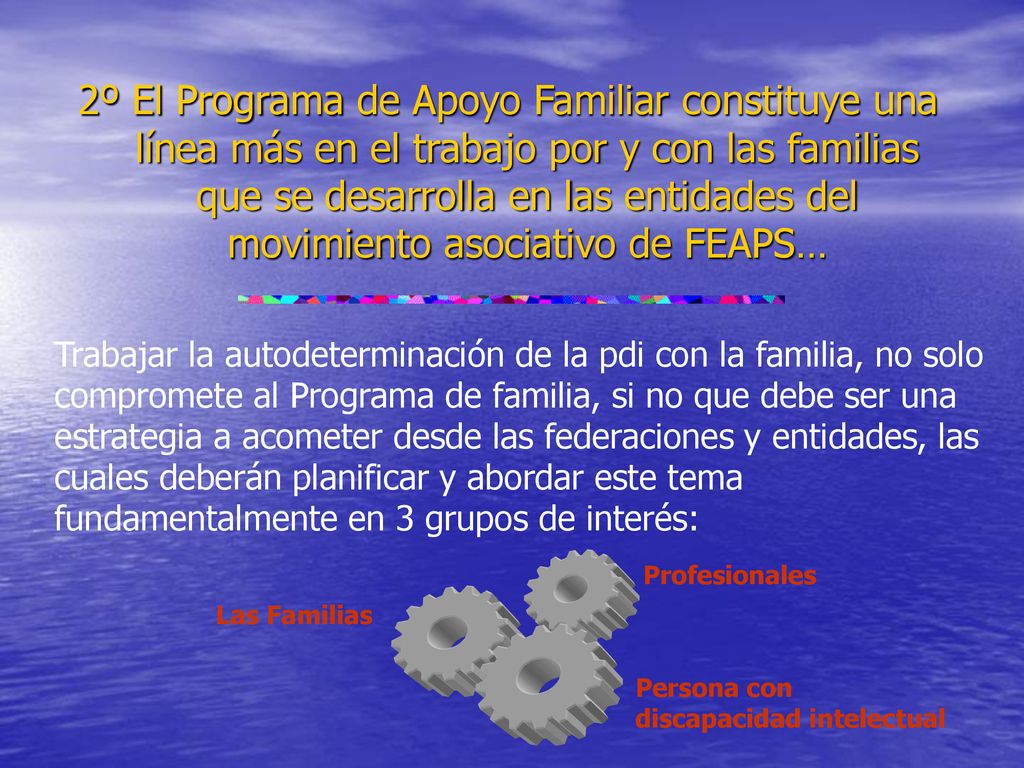 2º El Programa de Apoyo Familiar constituye una línea más en el trabajo por y con las familias que se desarrolla en las entidades del movimiento asociativo de FEAPS…