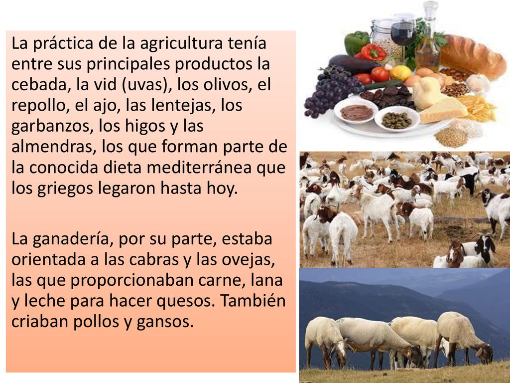 La práctica de la agricultura tenía entre sus principales productos la cebada, la vid (uvas), los olivos, el repollo, el ajo, las lentejas, los garbanzos, los higos y las almendras, los que forman parte de la conocida dieta mediterránea que los griegos legaron hasta hoy.