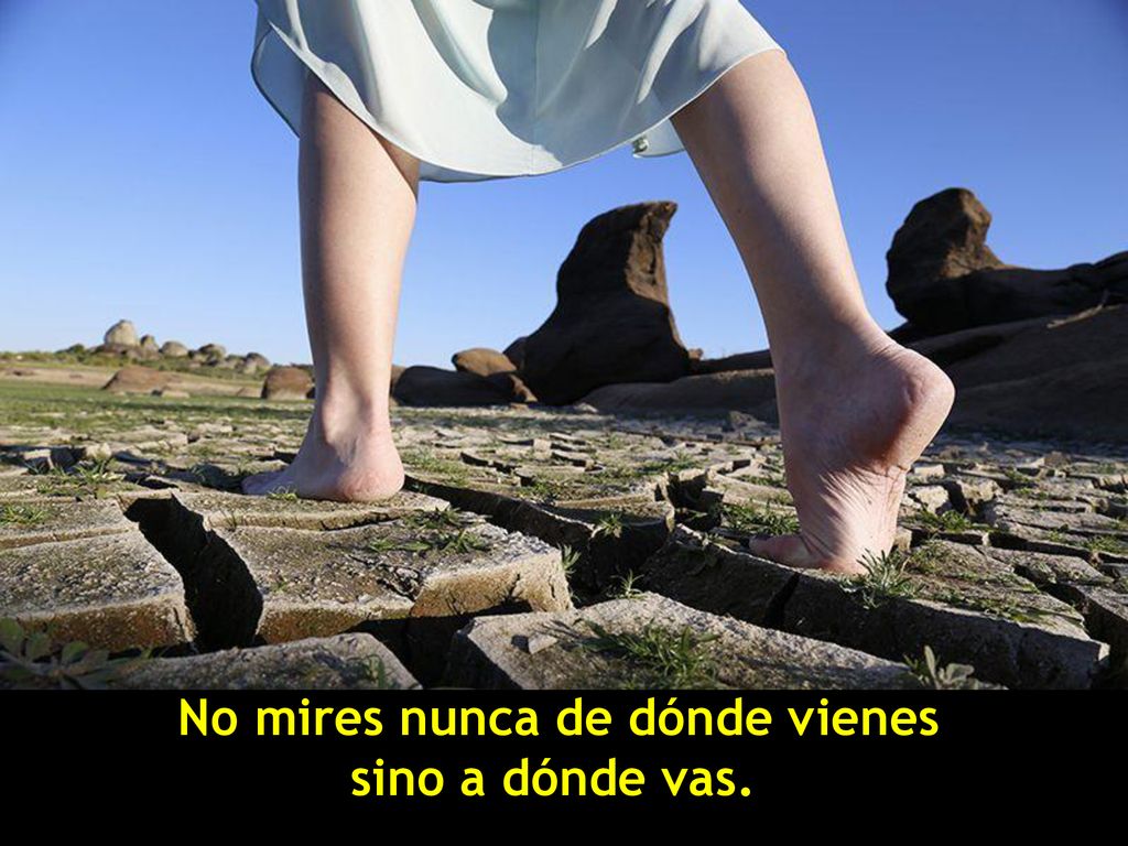 No mires nunca de dónde vienes sino a dónde vas.