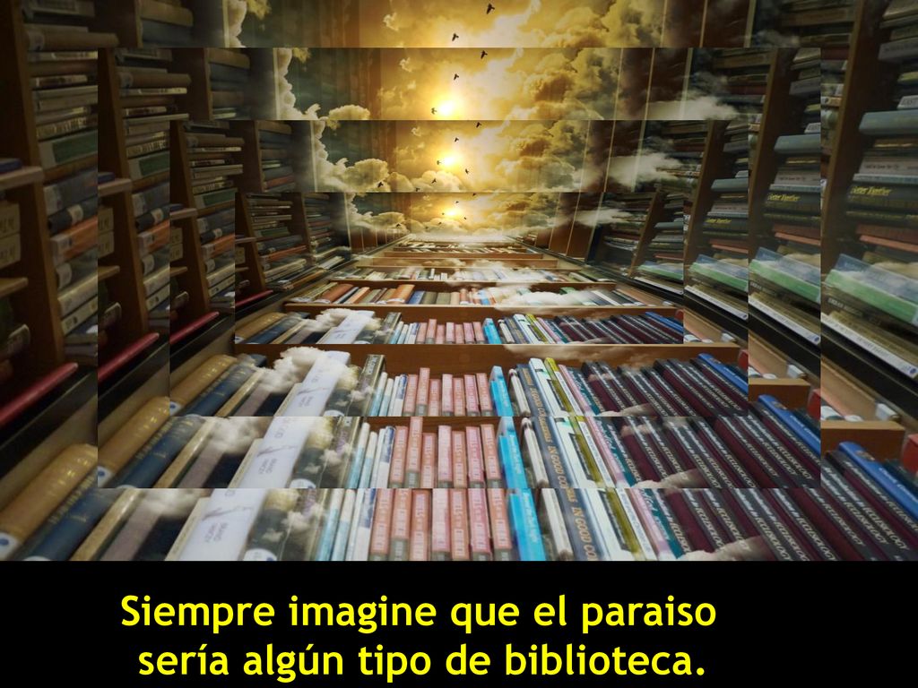 Siempre imagine que el paraiso sería algún tipo de biblioteca.