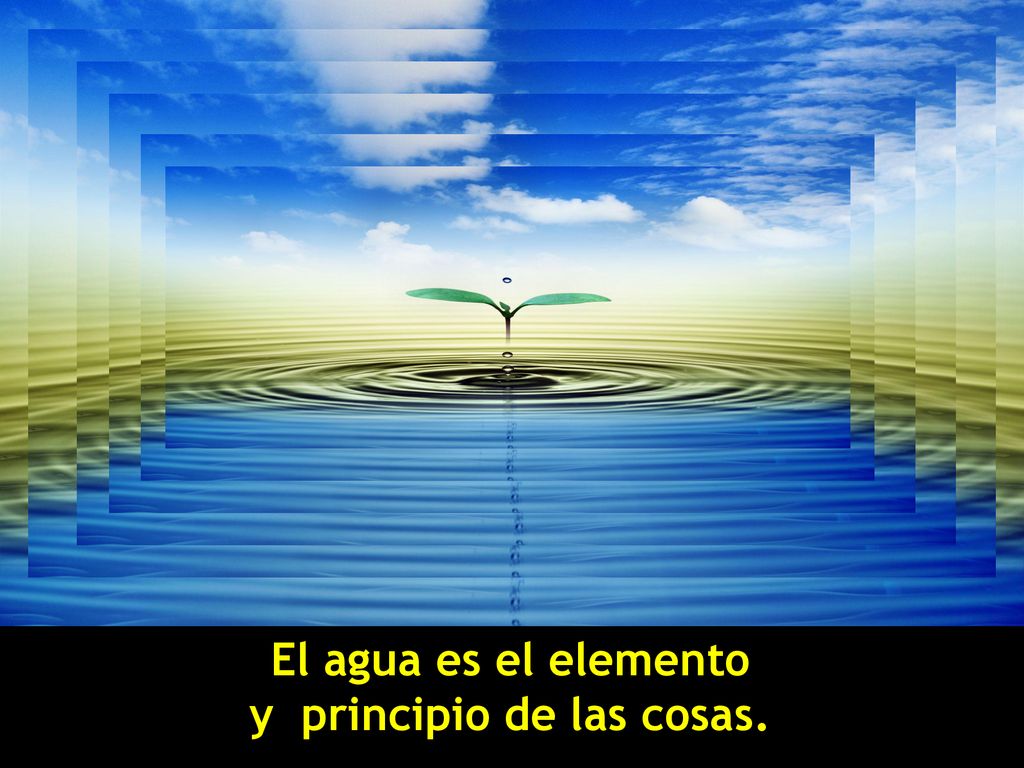 El agua es el elemento y principio de las cosas.