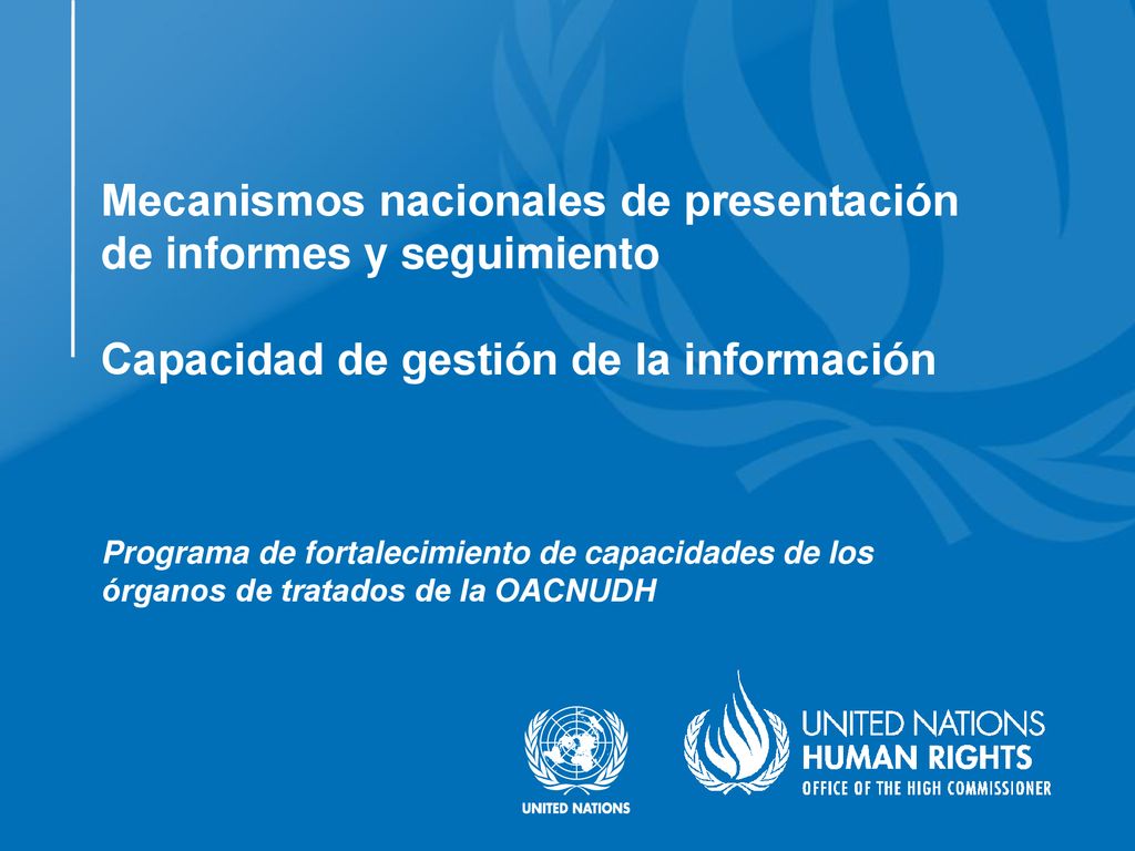 Mecanismos nacionales de presentación de informes y seguimiento Capacidad de gestión de la información
