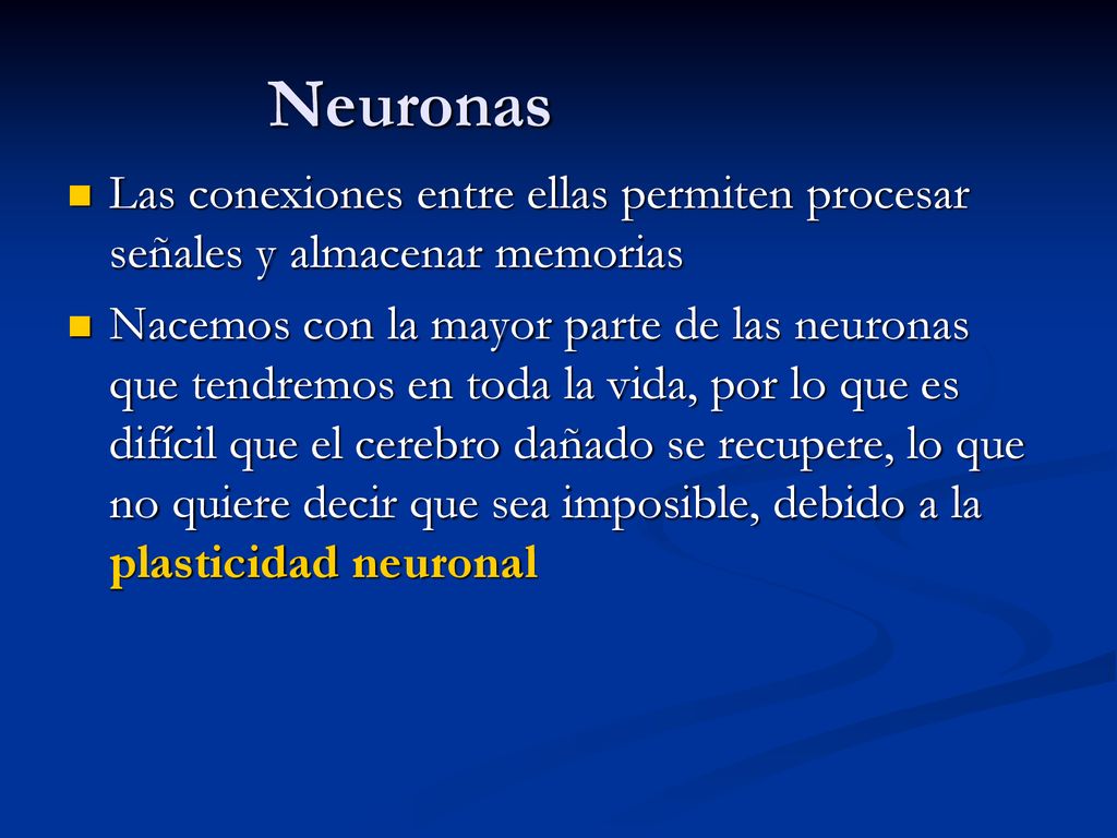 Neuronas Las conexiones entre ellas permiten procesar señales y almacenar memorias.
