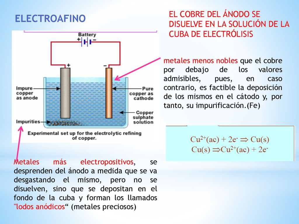 EL COBRE DEL ÁNODO SE DISUELVE EN LA SOLUCIÓN DE LA CUBA DE ELECTRÓLISIS