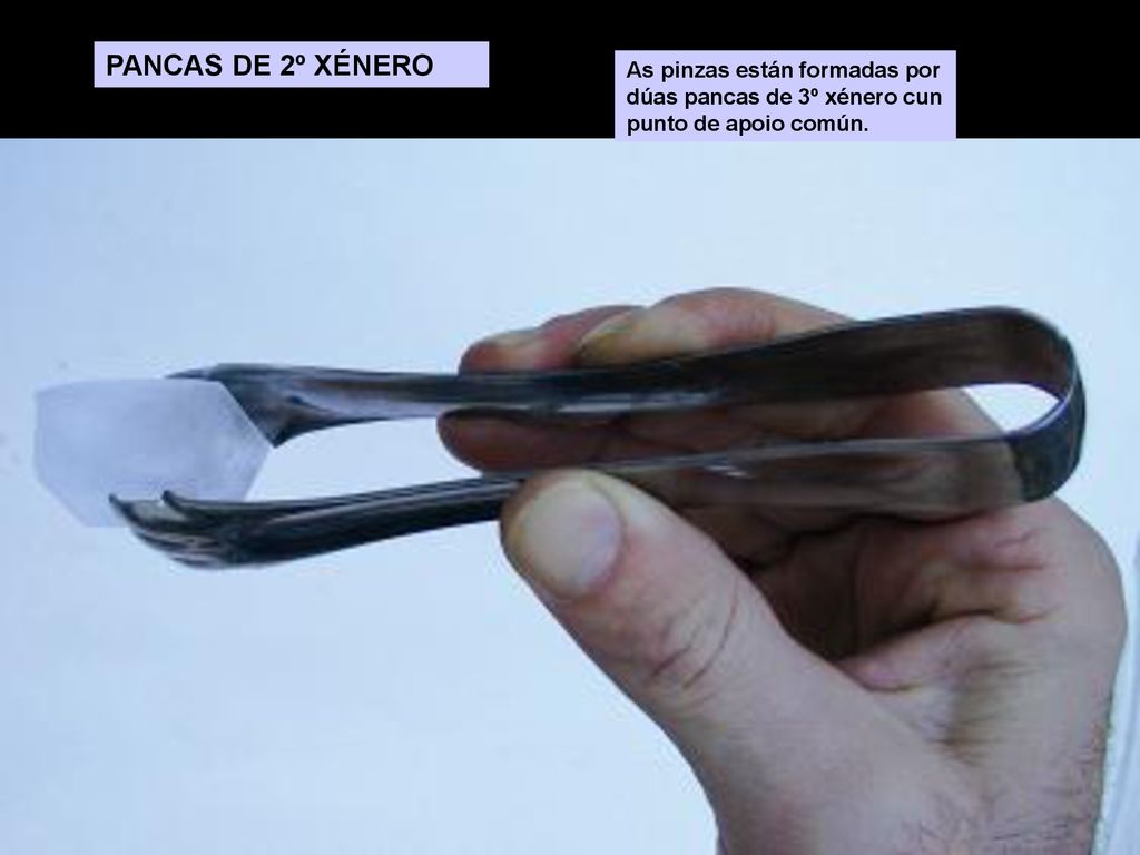 PANCAS DE 2º XÉNERO As pinzas están formadas por dúas pancas de 3º xénero cun punto de apoio común.