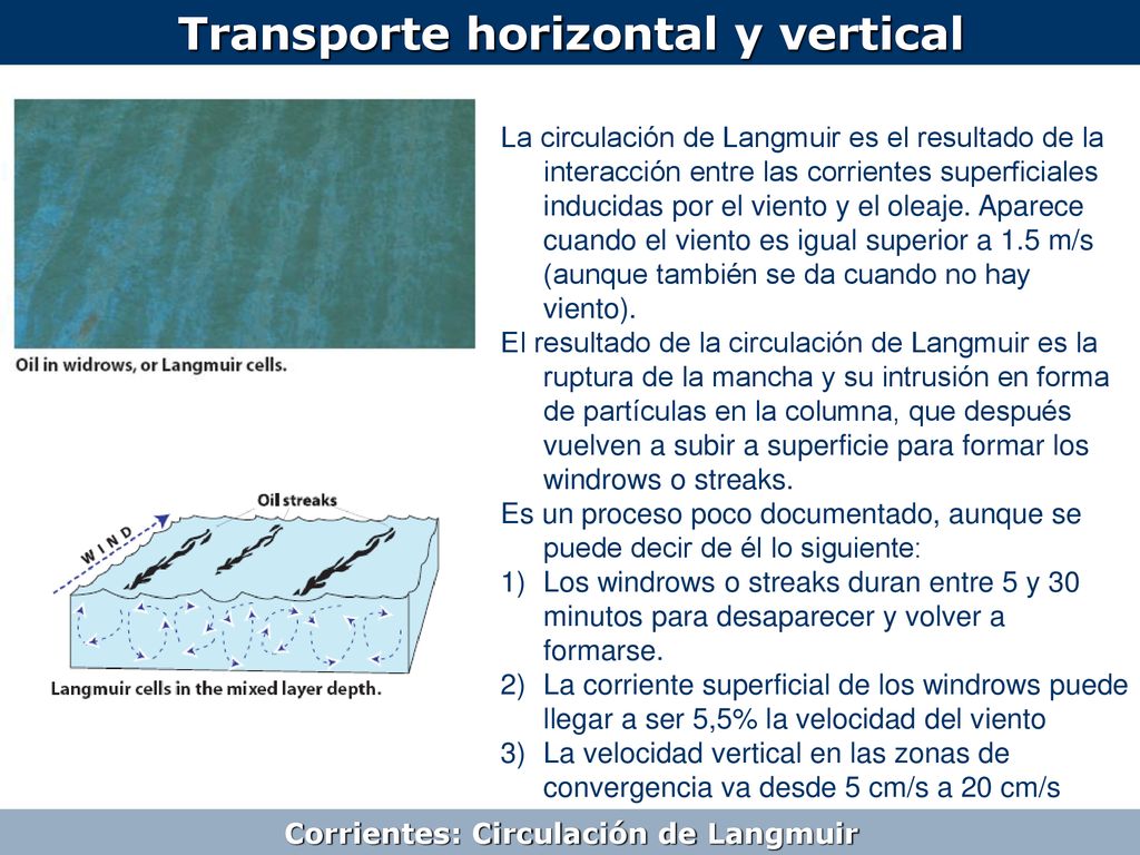 Transporte horizontal y vertical Corrientes: Circulación de Langmuir