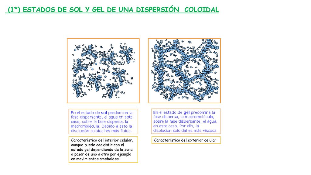 (1*) ESTADOS DE SOL Y GEL DE UNA DISPERSIÓN COLOIDAL