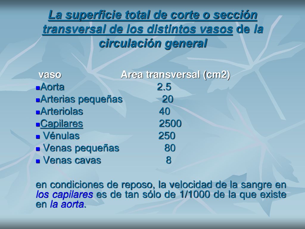 La superficie total de corte o sección transversal de los distintos vasos de la circulación general