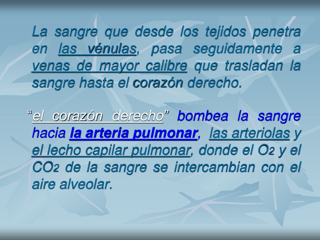 La sangre que desde los tejidos penetra en las vénulas, pasa seguidamente a venas de mayor calibre que trasladan la sangre hasta el corazón derecho.