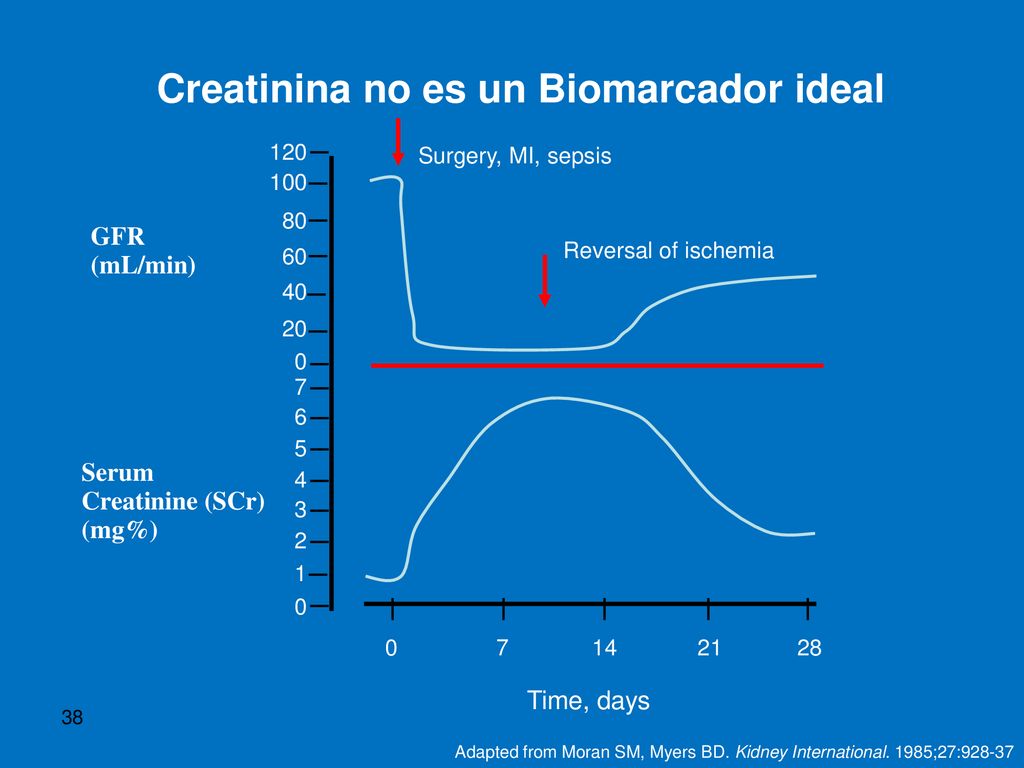 Creatinina no es un Biomarcador ideal