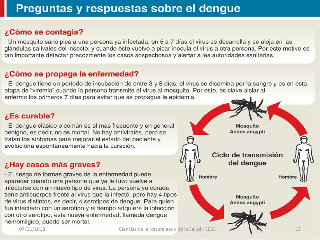 Ciencias de la Naturaleza y de la Salud - EEB3