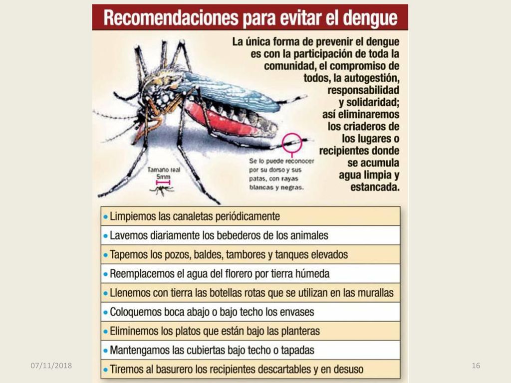 Ciencias de la Naturaleza y de la Salud - EEB3