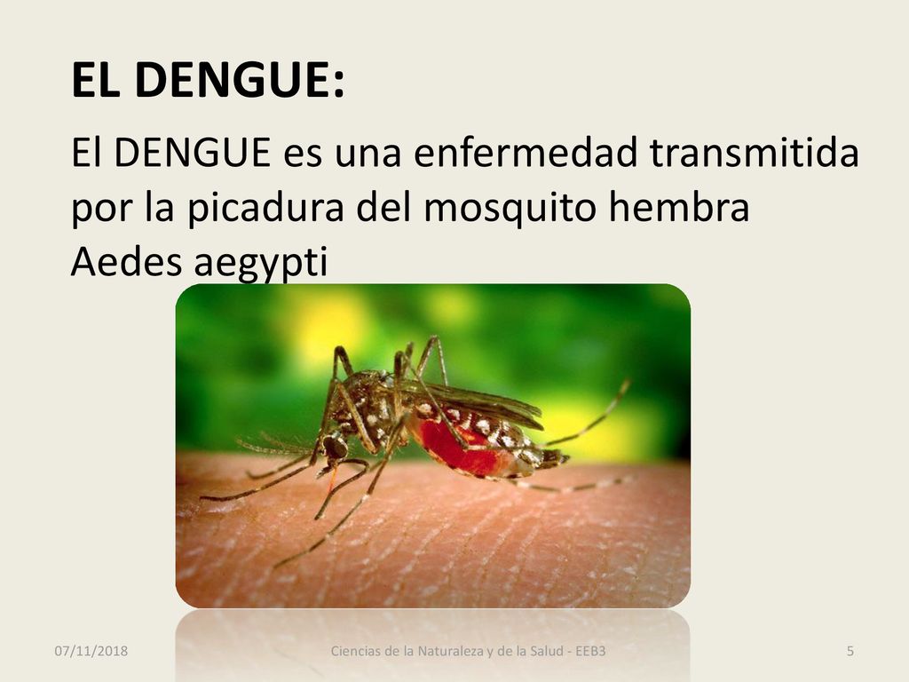 Ciencias de la Naturaleza y de la Salud - EEB3