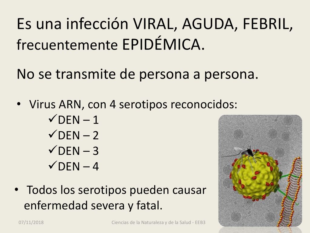 Ciencias de la Naturaleza y de la Salud - EEB3
