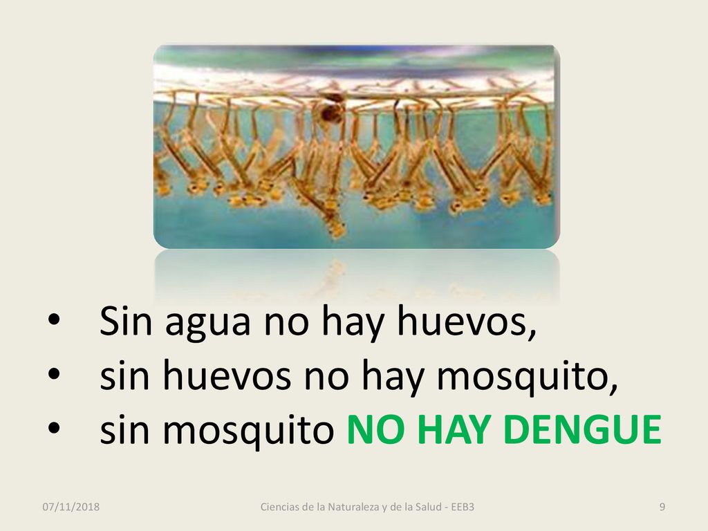 Ciencias de la Naturaleza y de la Salud - EEB3