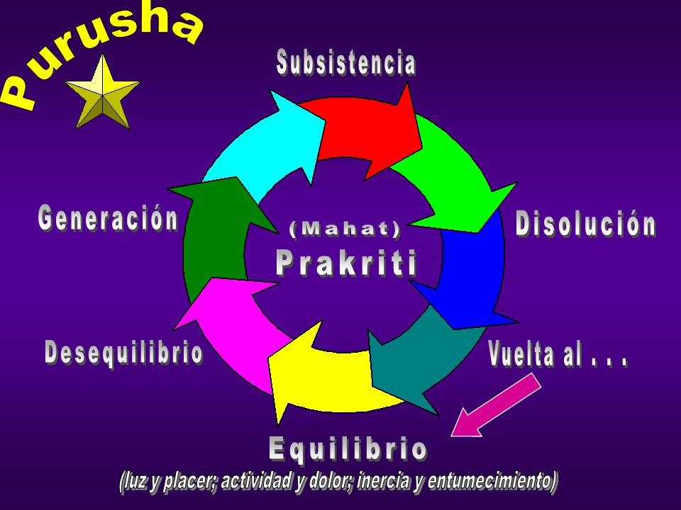 (luz y placer; actividad y dolor; inercia y entumecimiento)