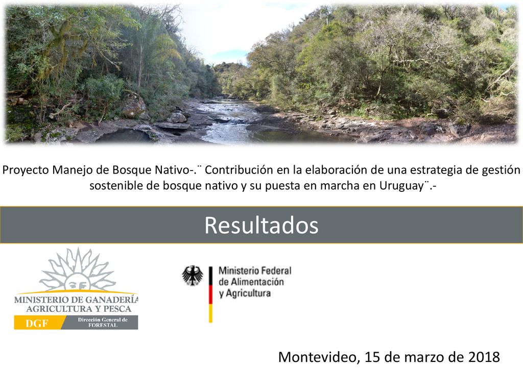sostenible de bosque nativo y su puesta en marcha en Uruguay¨.-