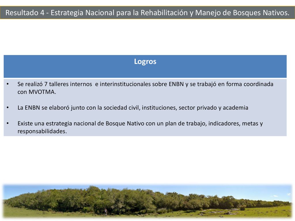Resultado 4 - Estrategia Nacional para la Rehabilitación y Manejo de Bosques Nativos.
