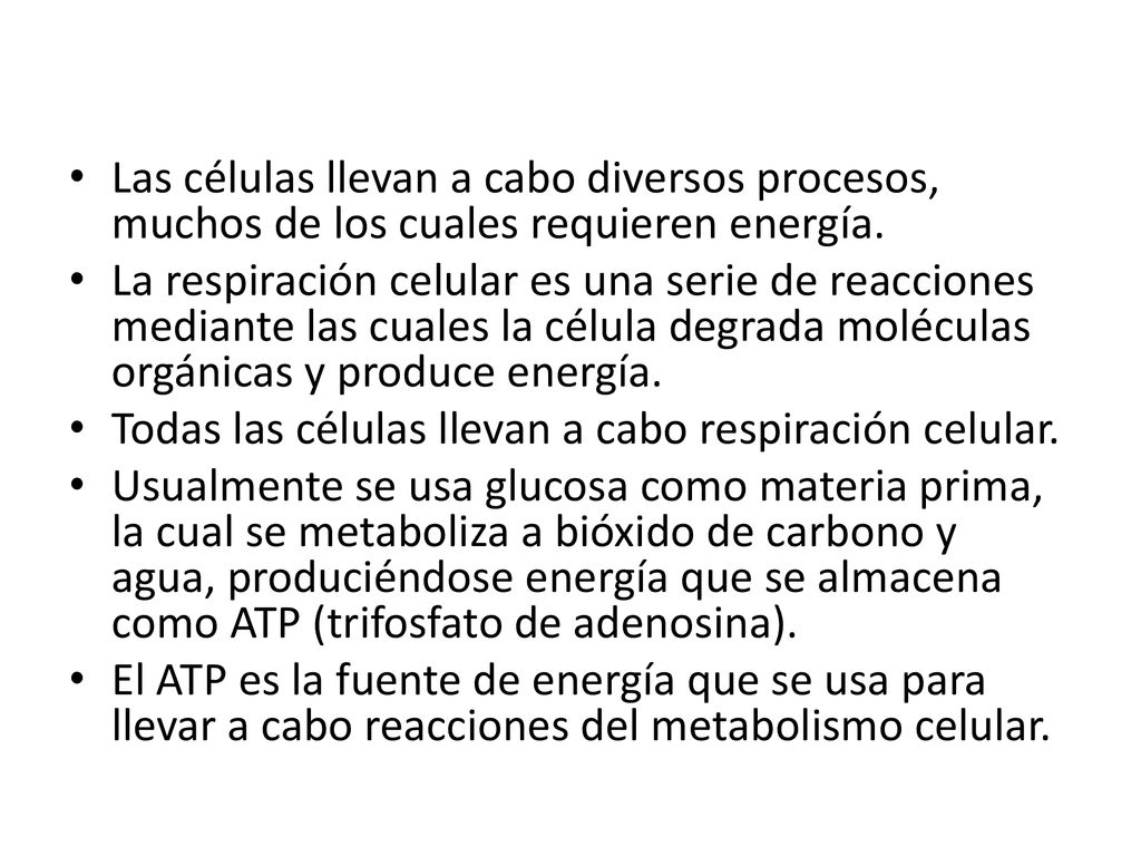 Las células llevan a cabo diversos procesos, muchos de los cuales requieren energía.