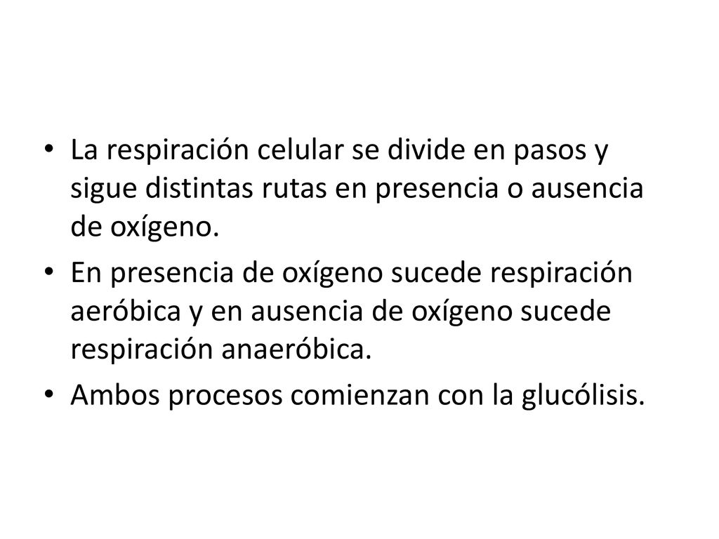 La respiración celular se divide en pasos y sigue distintas rutas en presencia o ausencia de oxígeno.