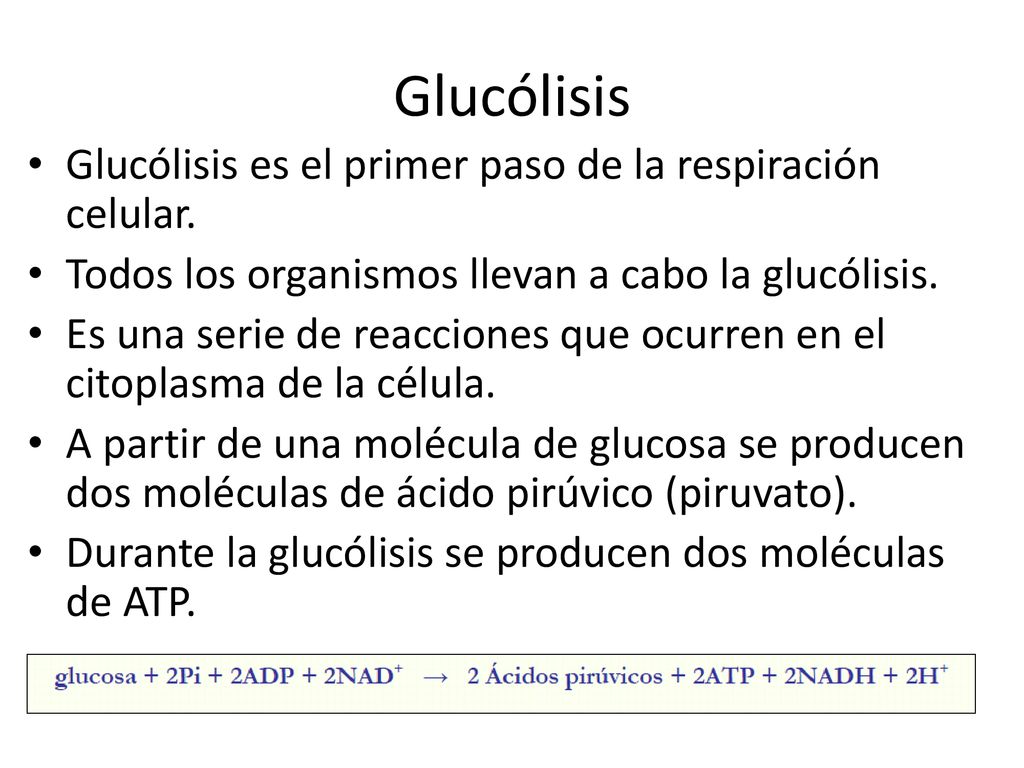 Glucólisis Glucólisis es el primer paso de la respiración celular.