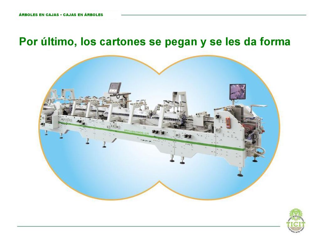 Por último, los cartones se pegan y se les da forma