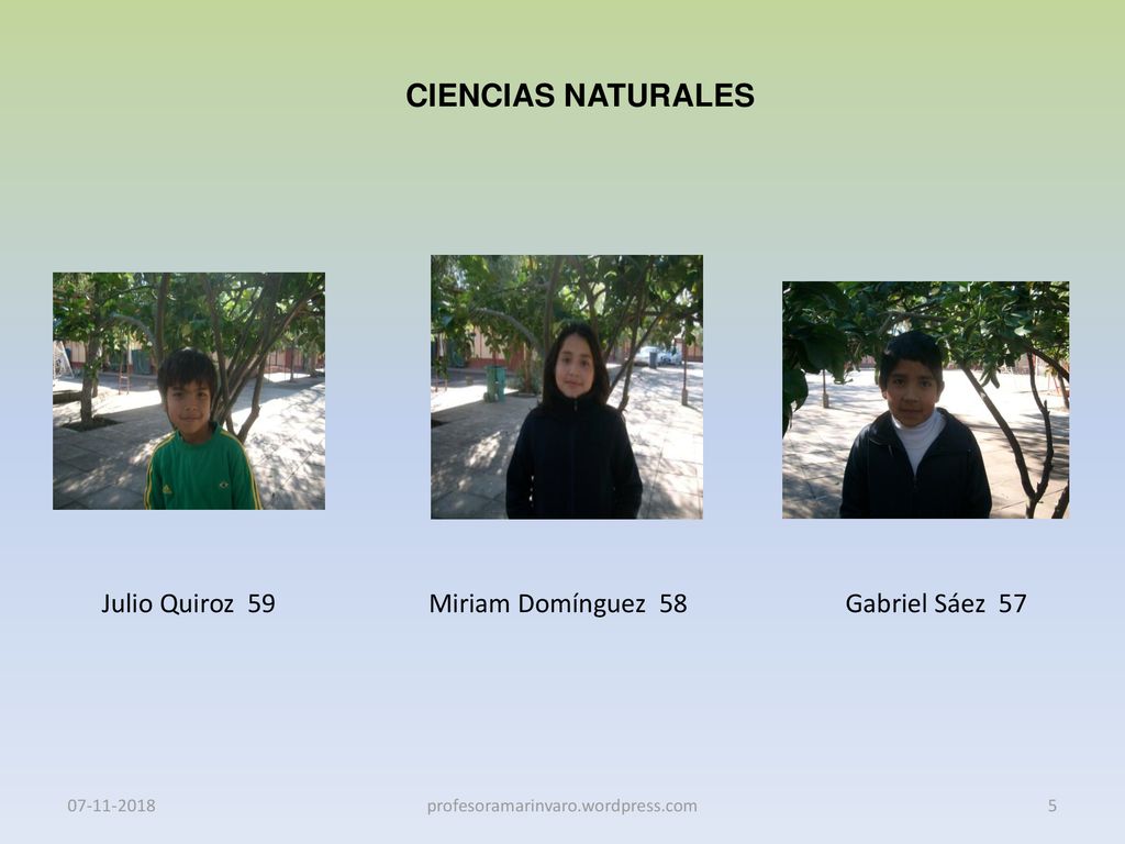 CIENCIAS NATURALES Julio Quiroz 59 Miriam Domínguez 58 Gabriel Sáez 57