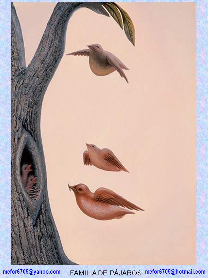 FAMILIA DE PÁJAROS