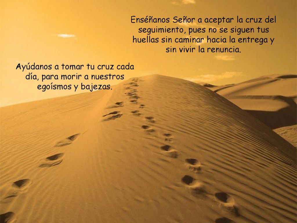 Enséñanos Señor a aceptar la cruz del seguimiento, pues no se siguen tus huellas sin caminar hacia la entrega y sin vivir la renuncia.