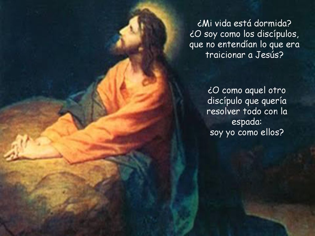 ¿Mi vida está dormida ¿O soy como los discípulos, que no entendían lo que era traicionar a Jesús