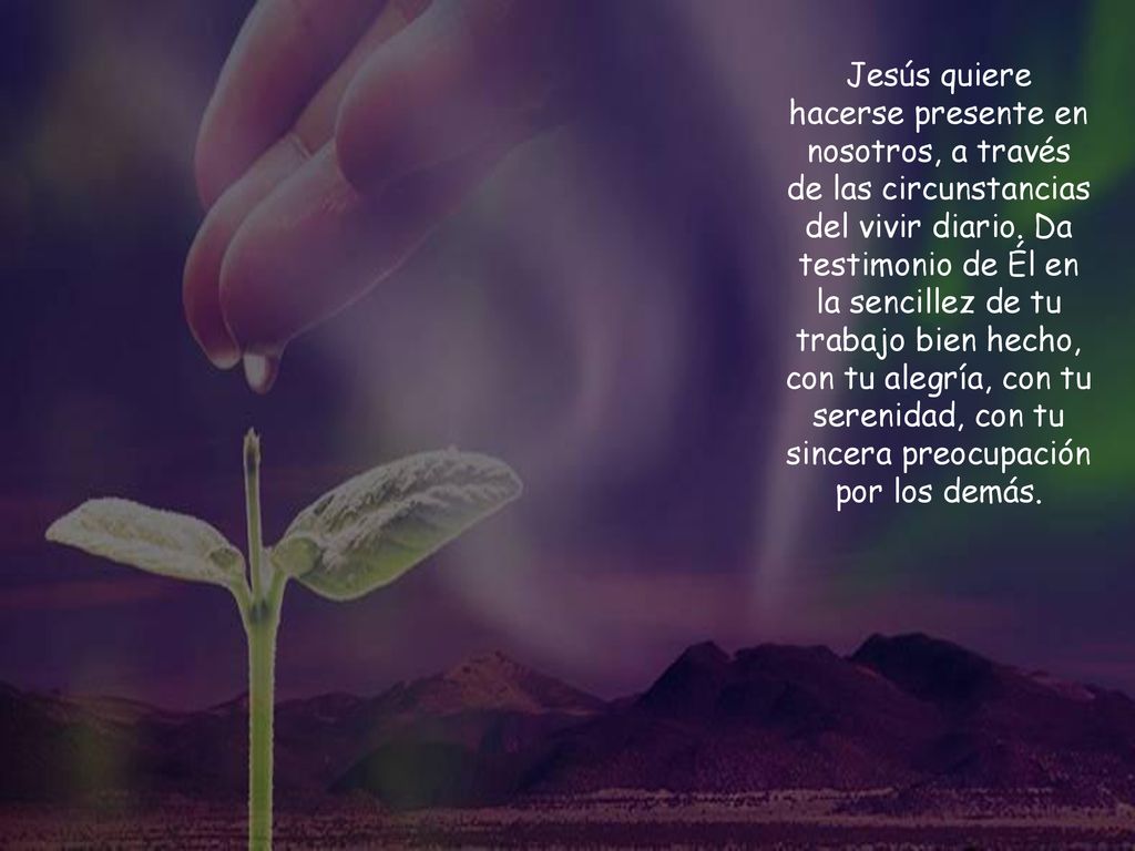 Jesús quiere hacerse presente en nosotros, a través de las circunstancias del vivir diario.