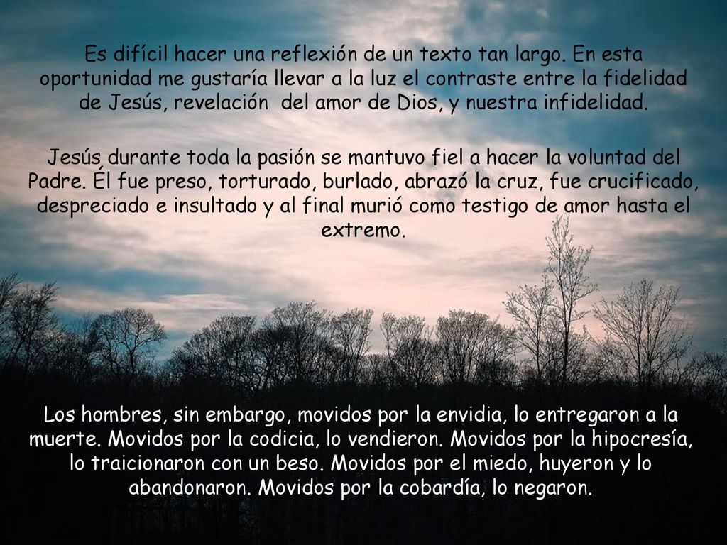 Es difícil hacer una reflexión de un texto tan largo