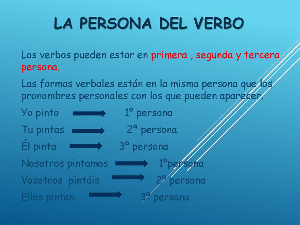 La persona del verbo Los verbos pueden estar en primera , segunda y tercera persona.