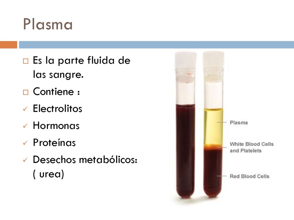 Plasma Es la parte fluida de las sangre. Contiene : Electrolitos