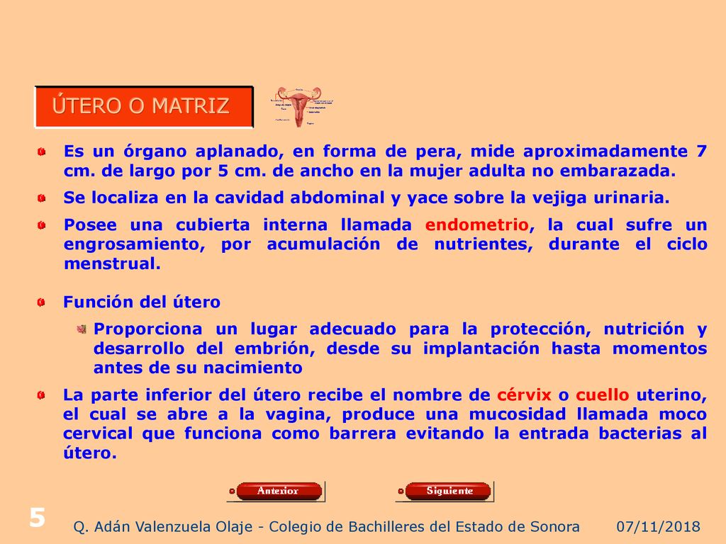 Q. Adán Valenzuela Olaje - Colegio de Bachilleres del Estado de Sonora