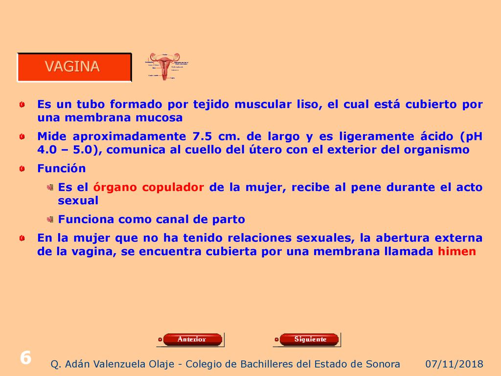 Q. Adán Valenzuela Olaje - Colegio de Bachilleres del Estado de Sonora
